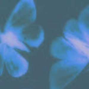 Meet your Posher, Sophia